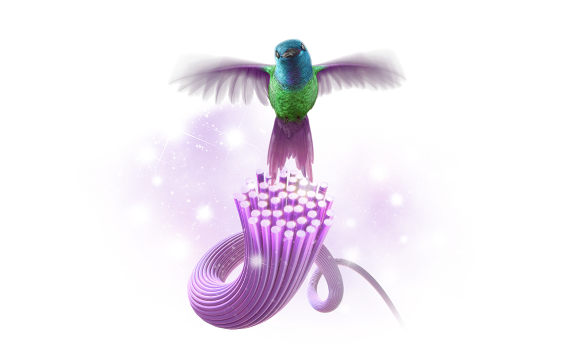 TELUS-BoPF-imageB