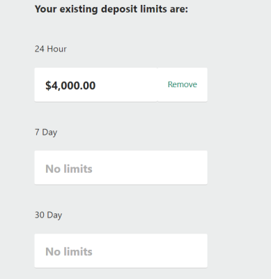 bet365 deposit limit