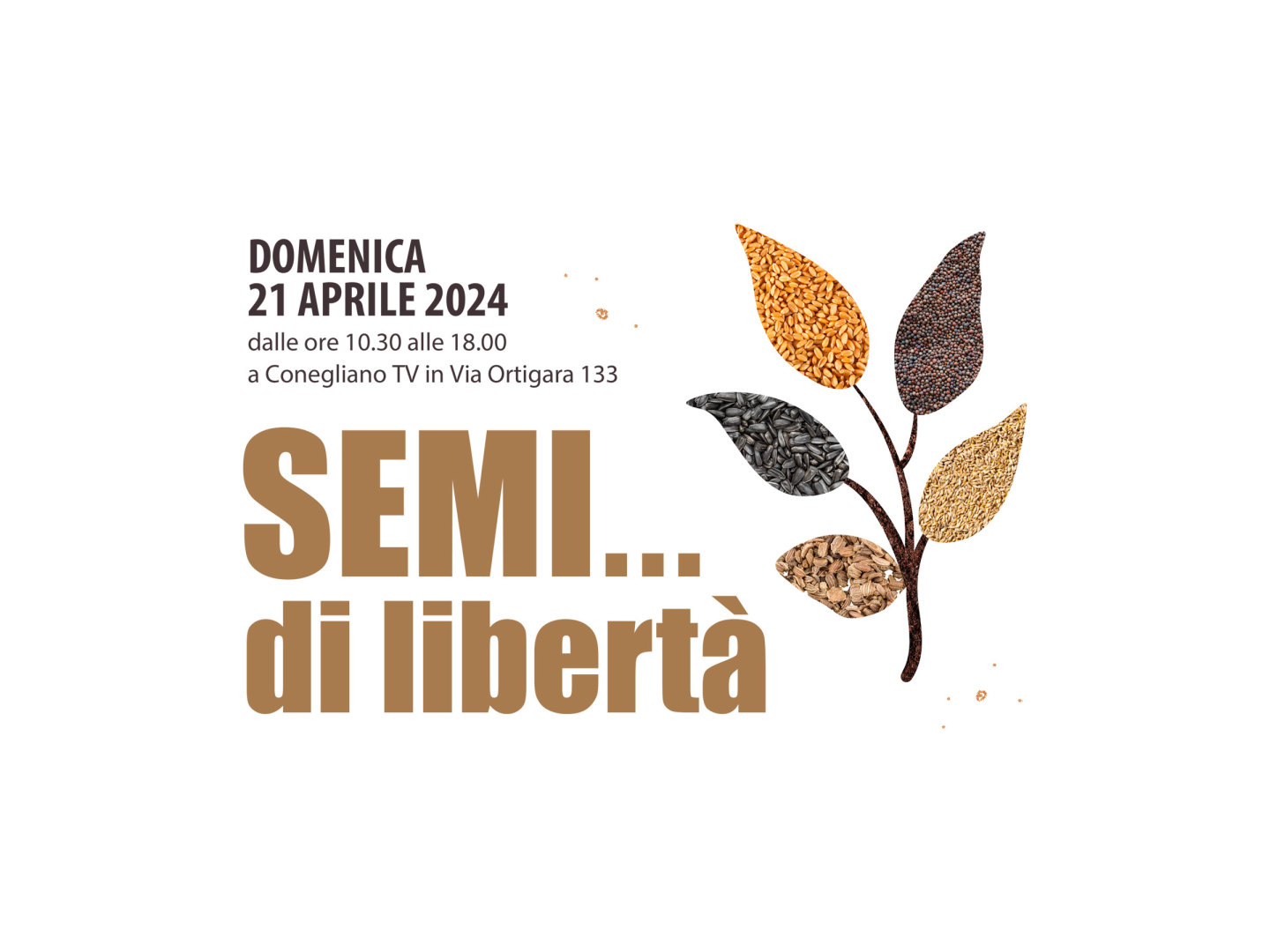 Semi-di-Liberta-2024 v2