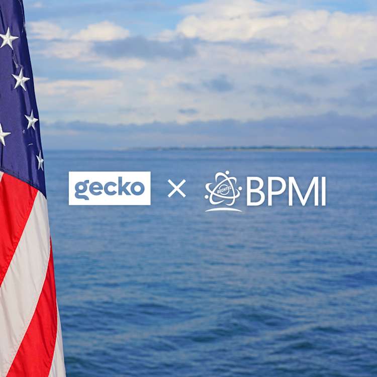 Gecko x BPMI Hero