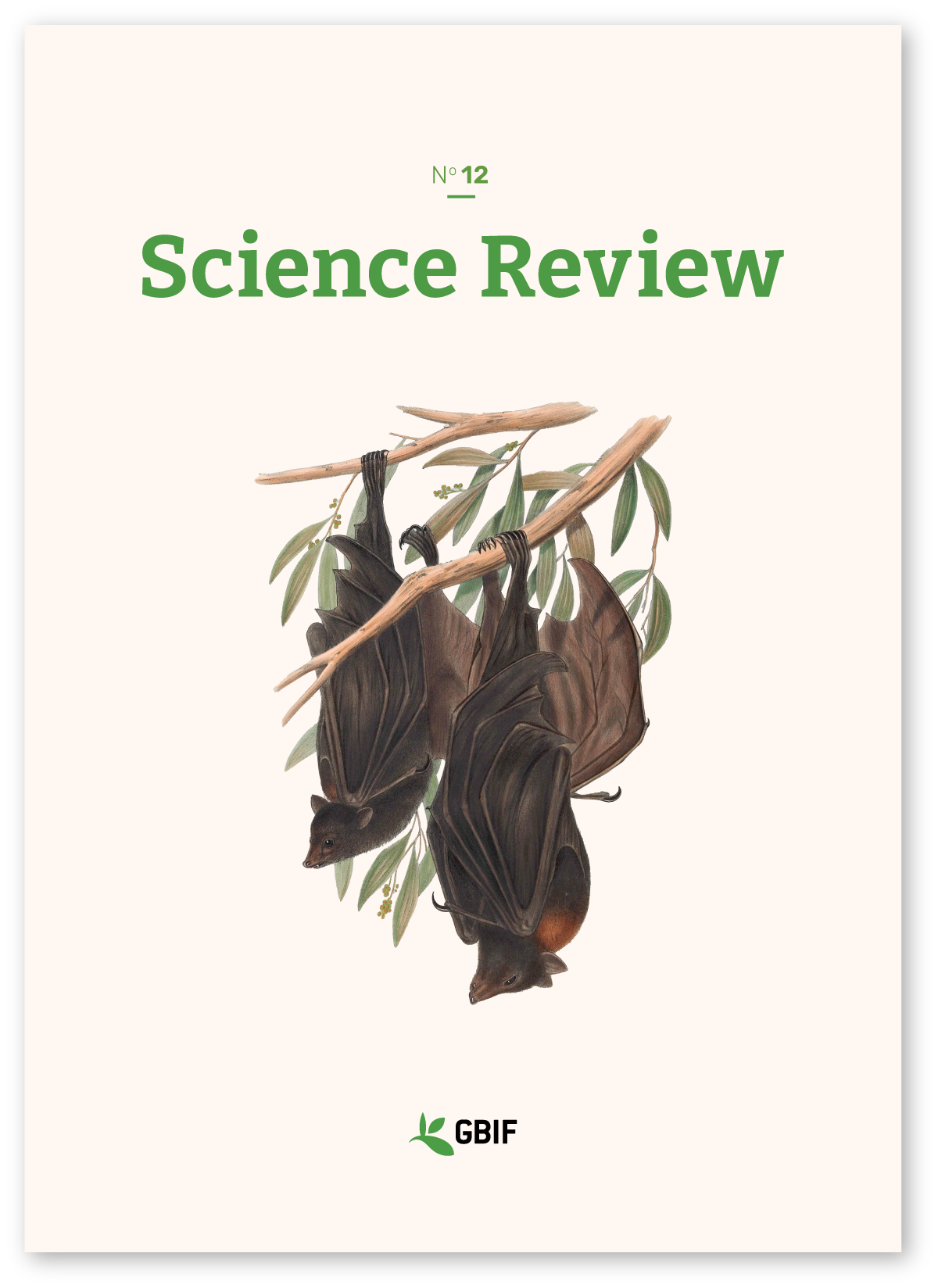 cover-shadow-n12 GBIF Secretariat (2024) GBIF Science Review No. 11. <a href="https://doi.org/10.35035/6bn4-er73">https://doi.org/10.35035/6bn4-er73</a>