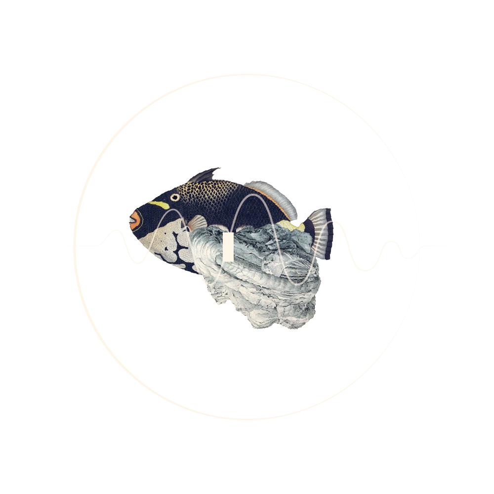 3-feat-dna