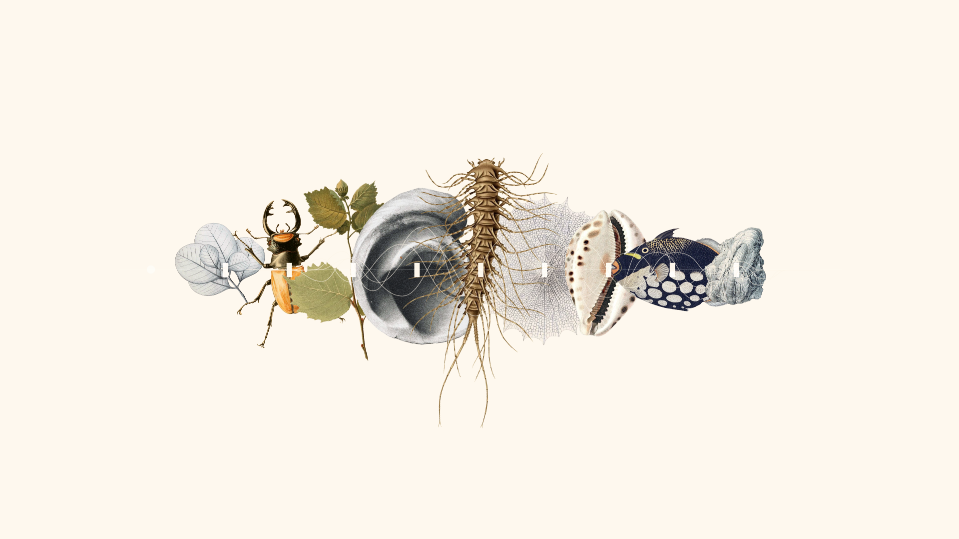 metabarcoding-programme