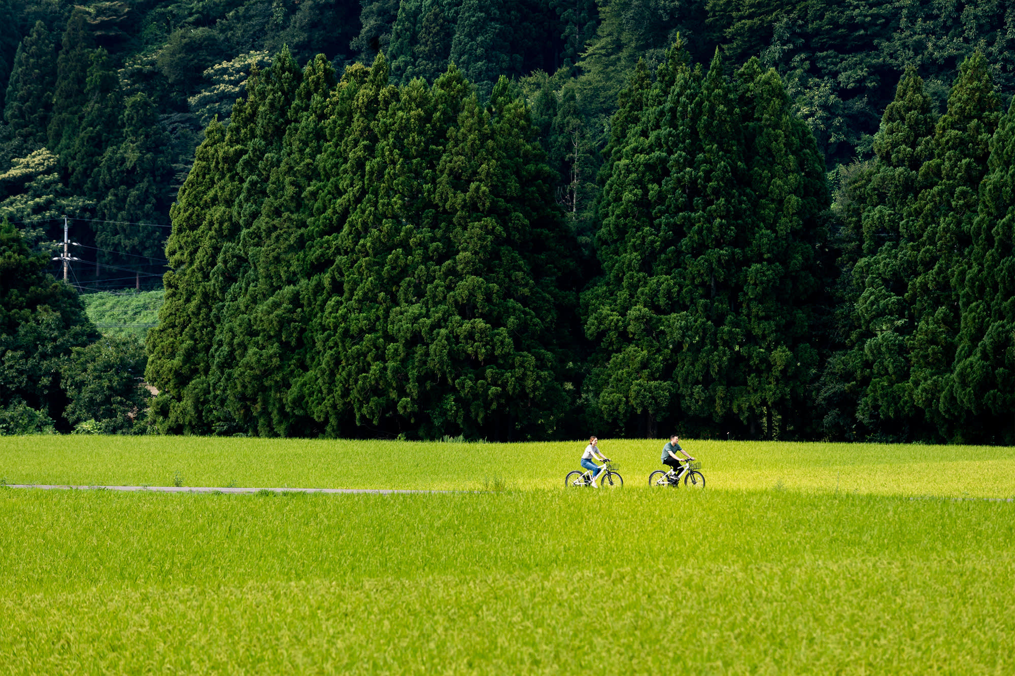 Hakusan Cycling