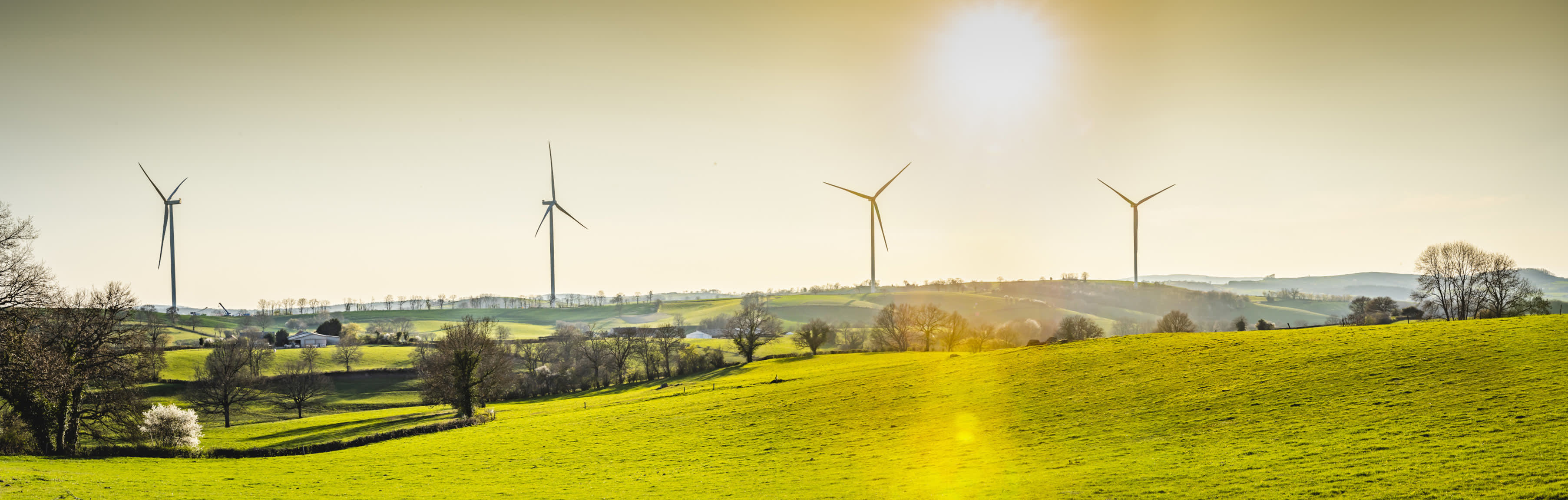 Feld mit vier Windrädern im Hintergrund