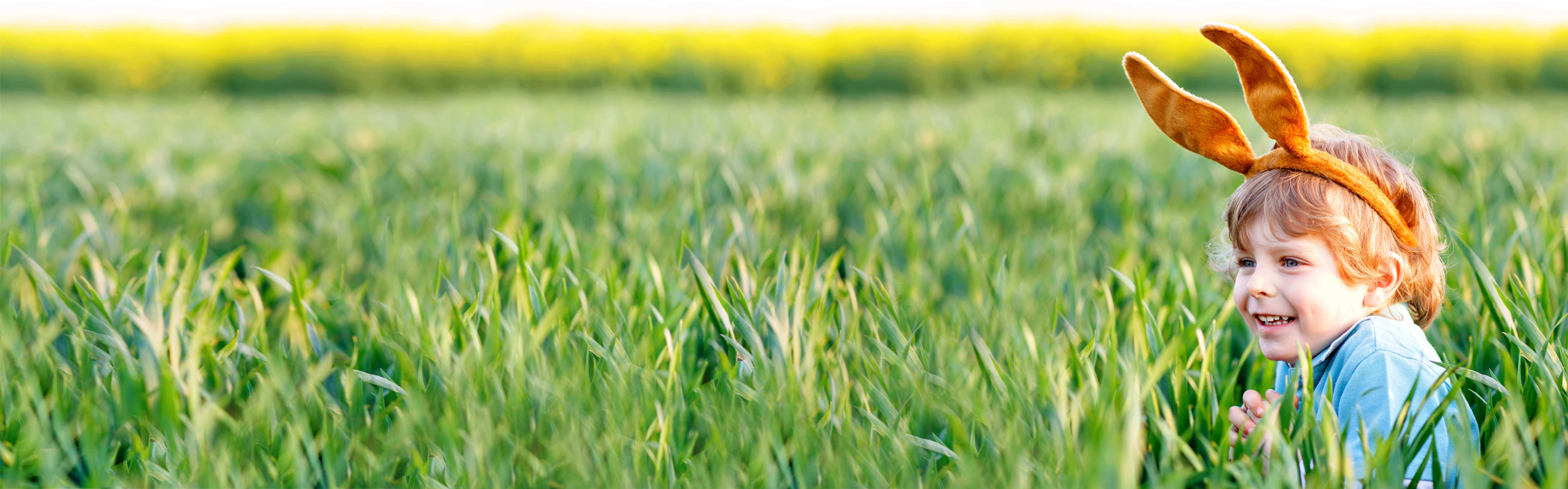 Kleiner Junge mit Hasenohren versteckt sich auf Wiese