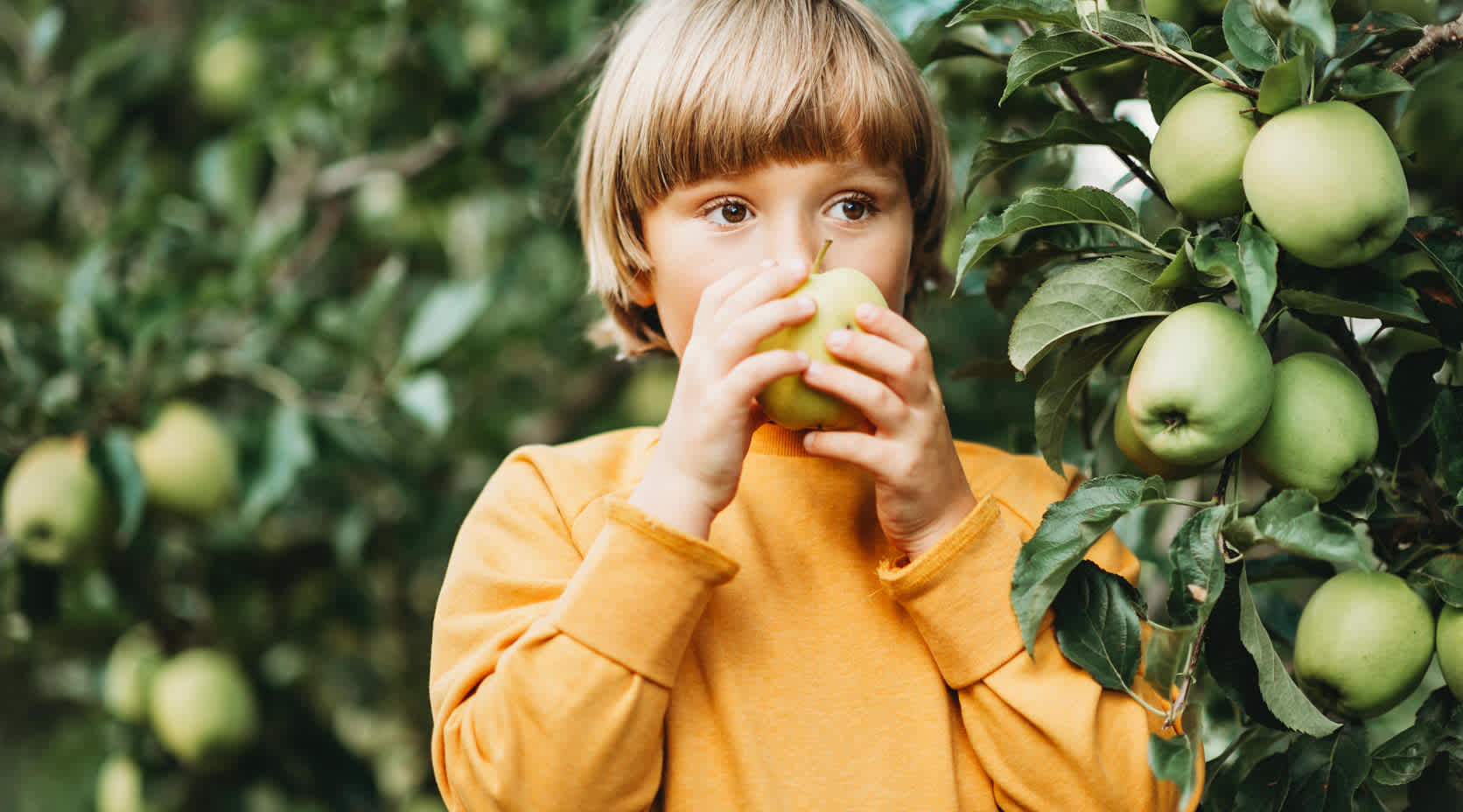 Kind mit Apfel in der Hand