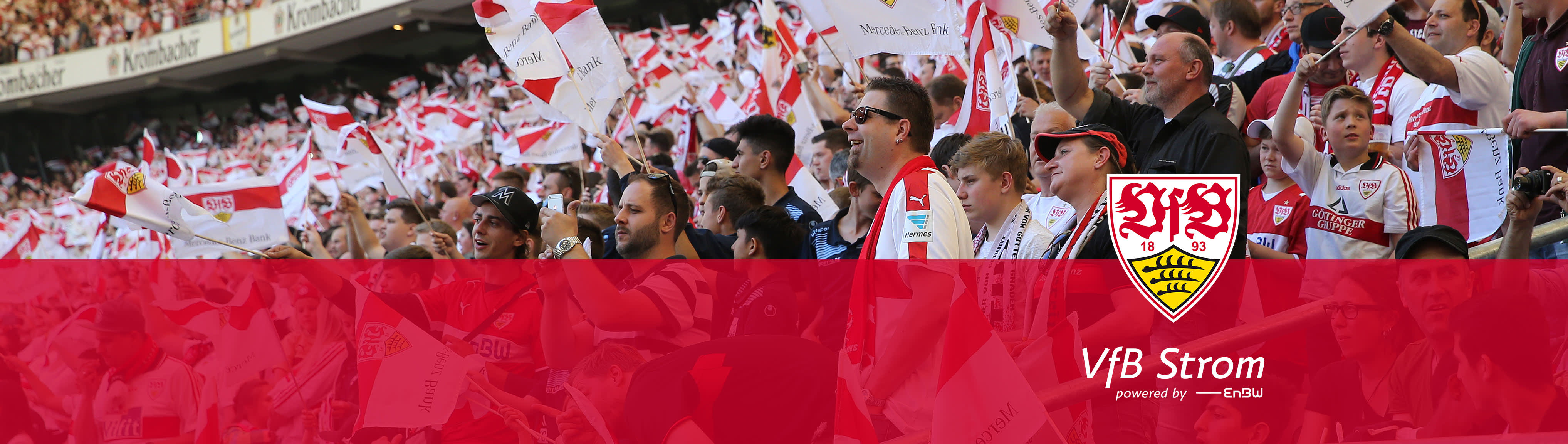 VfB-Fans auf der Tribüne