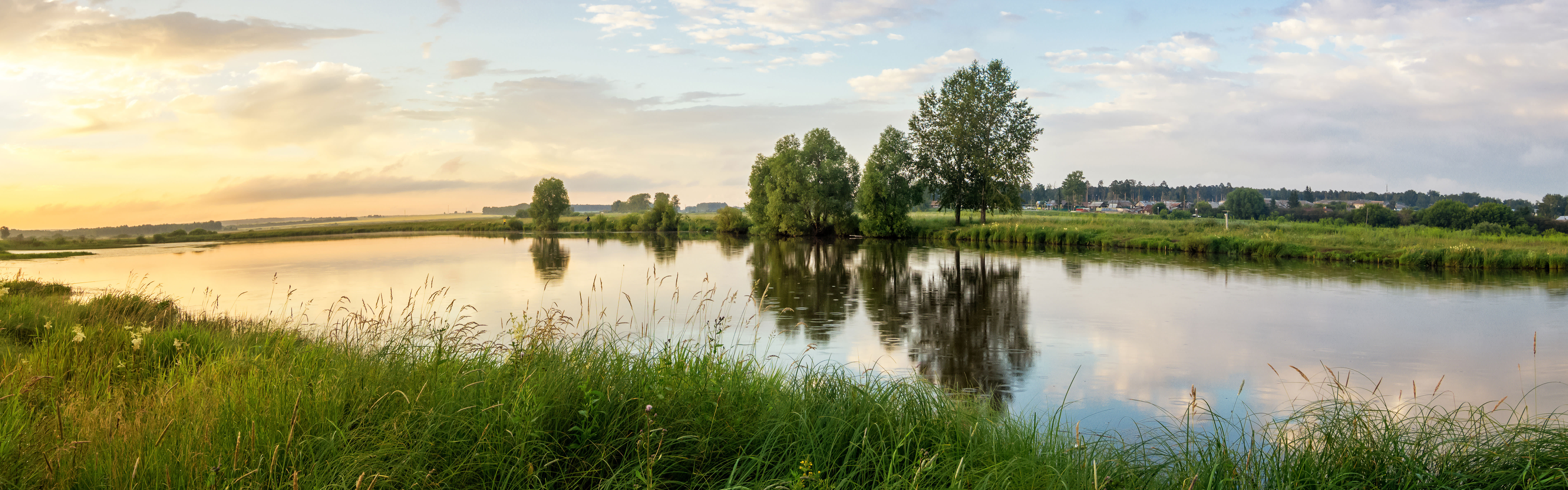 Grüne Seelandschaft im Sommer