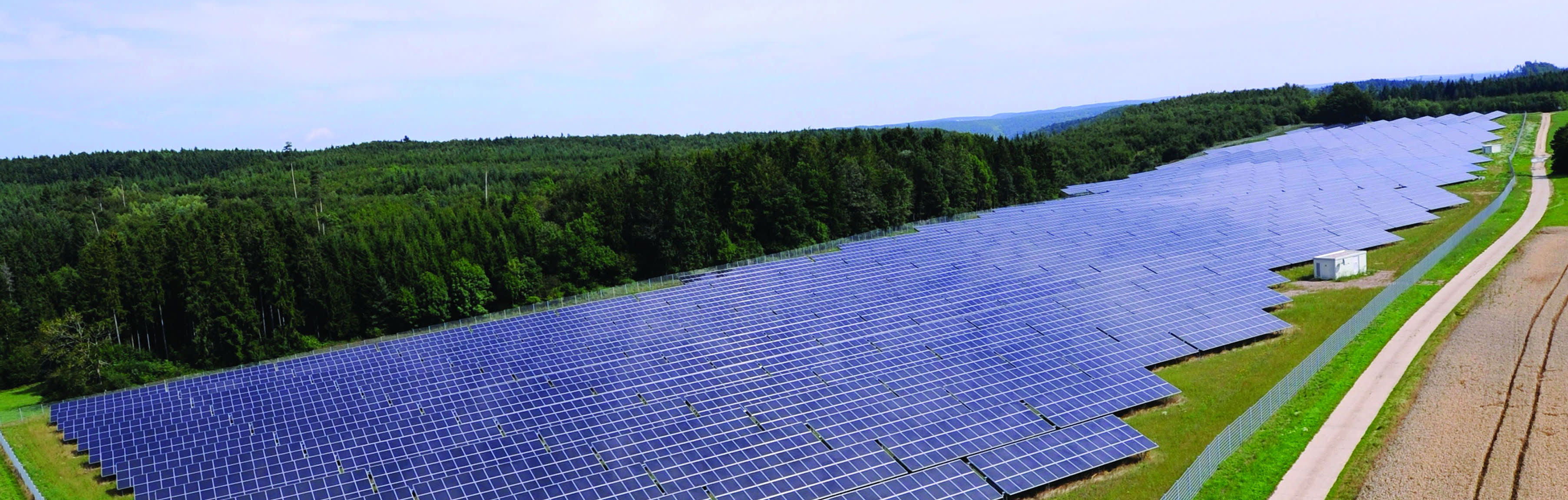 Solarpark neben Wald