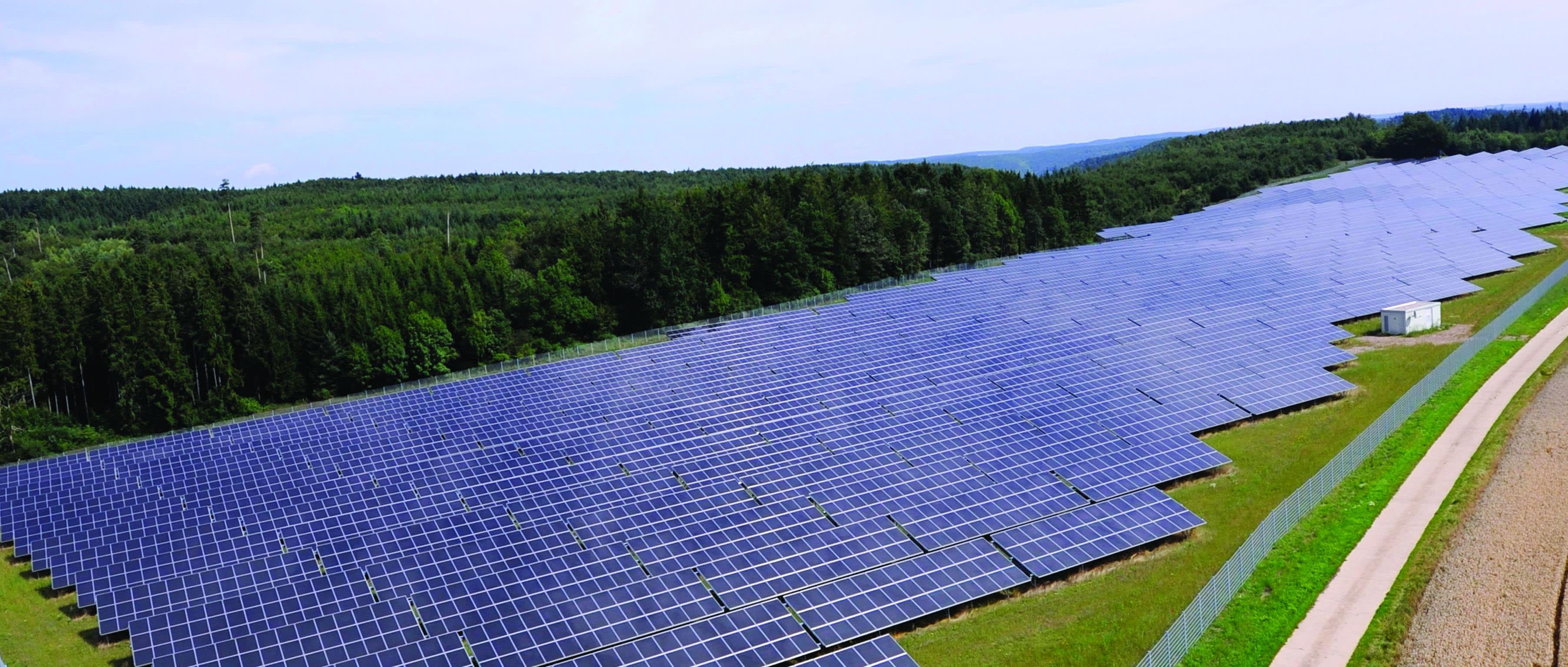 Solarpark neben Wald