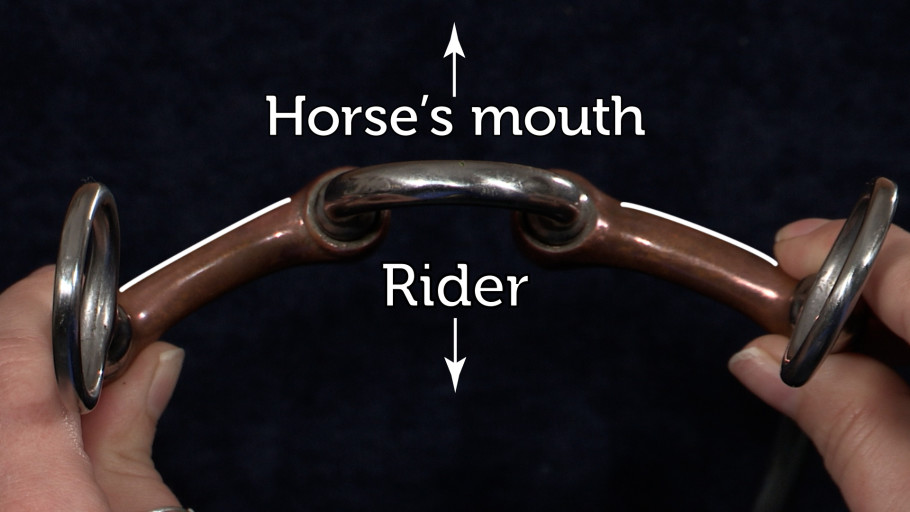 Showing which way horse's bit should go in mouth on western headstall.