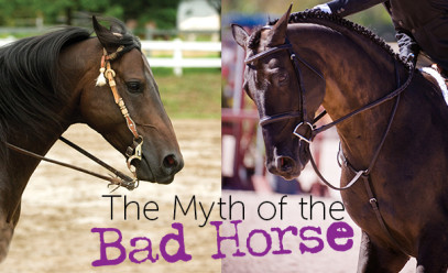 The Myth of the Bad Horse