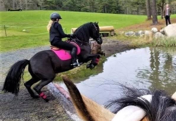 Woman riding dark horse wearing pink saddle pad while riding on cross country course over water jump