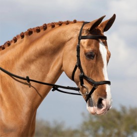 A chestnut horse in an ergonomic eventing bridle.
