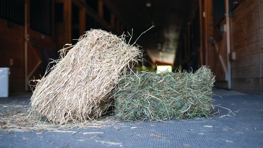 flakes of hay in barn aisle 