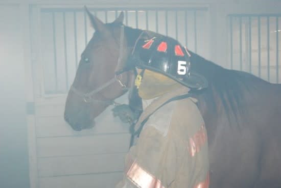 A firefighter leading a horse through a smoky barn.