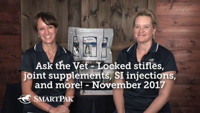 Ask the Vet – Locked stifles, joint supplements, SI injections & more! – November 2017