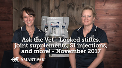 Ask the Vet – Locked stifles, joint supplements, SI injections & more! – November 2017