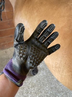 handson grooming glove for horses