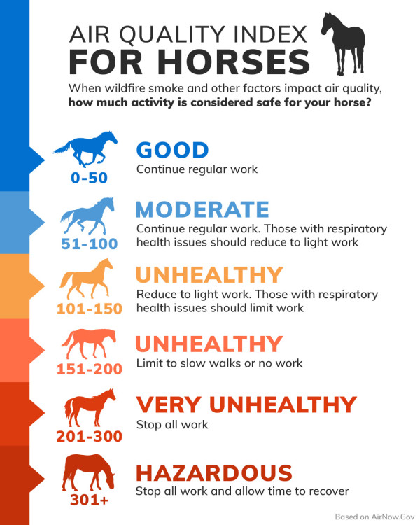 Air Quality Index for horses (equine AQI Chart)
