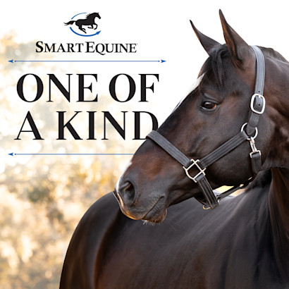 SmartEquine one of a kind horse logo