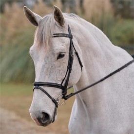 A grey horse in a black dressage bridle with a flash noseband.
