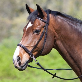 A bay horse in a bitless bridle.