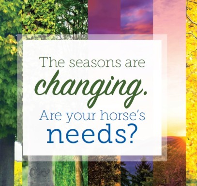 The seasons are changing. Are your horse’s needs?