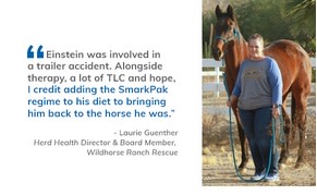 Wildhorse Ranch Rescue & SmartPaks