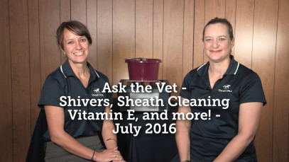 Ask the Vet – Shivers, Sheath Cleaning, Vitamin E & more! – July 2016