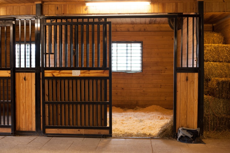 clean stall with wood shavings in a horse barn