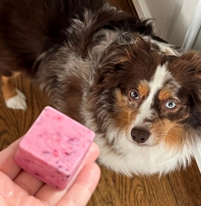 SmartPak Recipe: Puppy Smoothie Treats