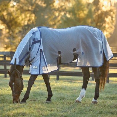 A bay horse grazing in a field wearing a fly sheet and neck cover to protect from insects.