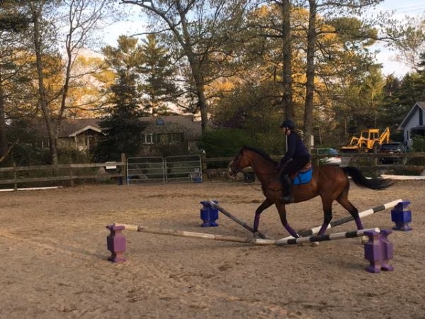 horse and rider going over trot pole exercise
