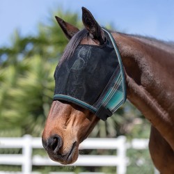 Bay horse wearing the Kensington Uviator Catch fly mask