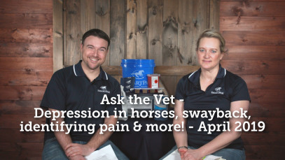 Ask the Vet – Depression in horses, swayback, identifying pain & more! – April 2019