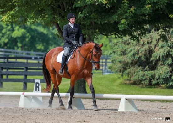 Lydia Gray and Newman trot in dressage seat equitation class
