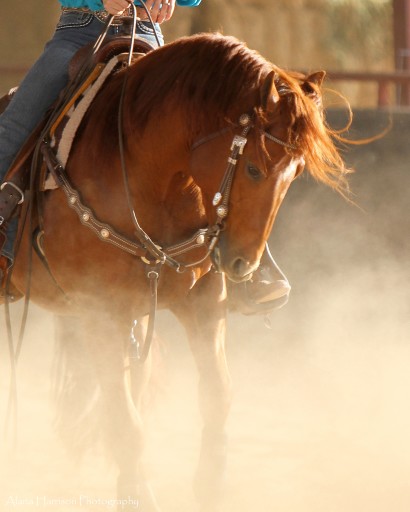 Western horse being ridden in a dusty ring.