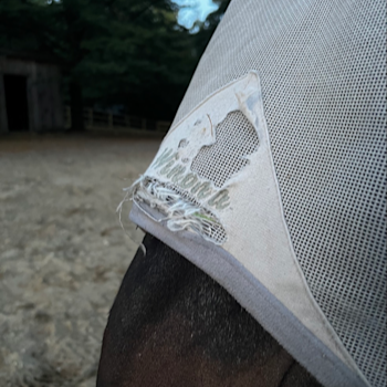 A fly mask resting on a horse’s face, embroidered to say the name "Winona", with the fabric over the bridge of the nose worn away.