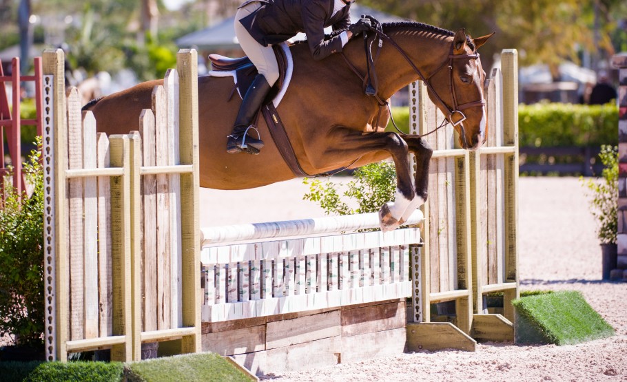Hunter horse jumping course at show.