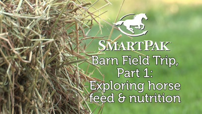 SmartPak Barn Field Trip, Part 1: Exploring horse feed and nutrition