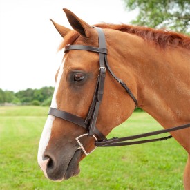A chestnut horse in a field hunt bridle.