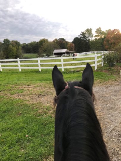 When Your Hobby Becomes Work: How to Balance Life and Horses