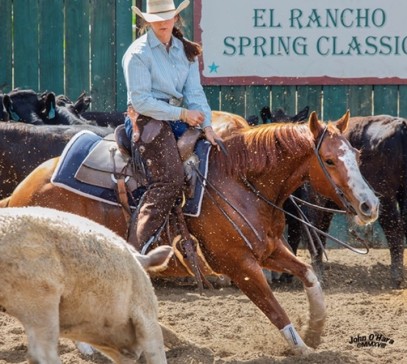 Why I Ride: Cutting Horses