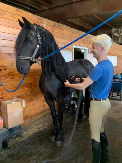 5 Things Under $25 Friesian Owners Can’t Live Without