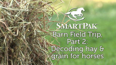 SmartPak Barn Field Trip, Part 2: Decoding hay and grain for horses