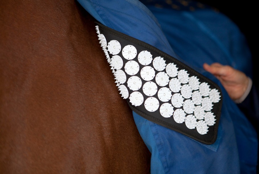 Acupressure mat for horses.
