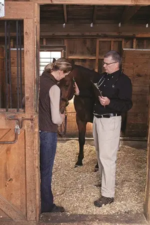 A Veterinarian examining a brown horse, being held by the owner in the horse's stall