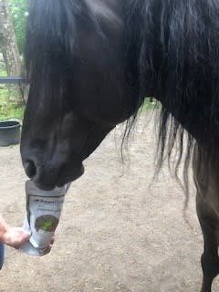 Gina Fitch feeding horse SmartCookies
